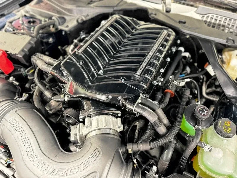 Vano motor de un Ford Mustang S650 con supercharger Whipple Gen 6 de 3.0 L montado sobre el 5.0 V8