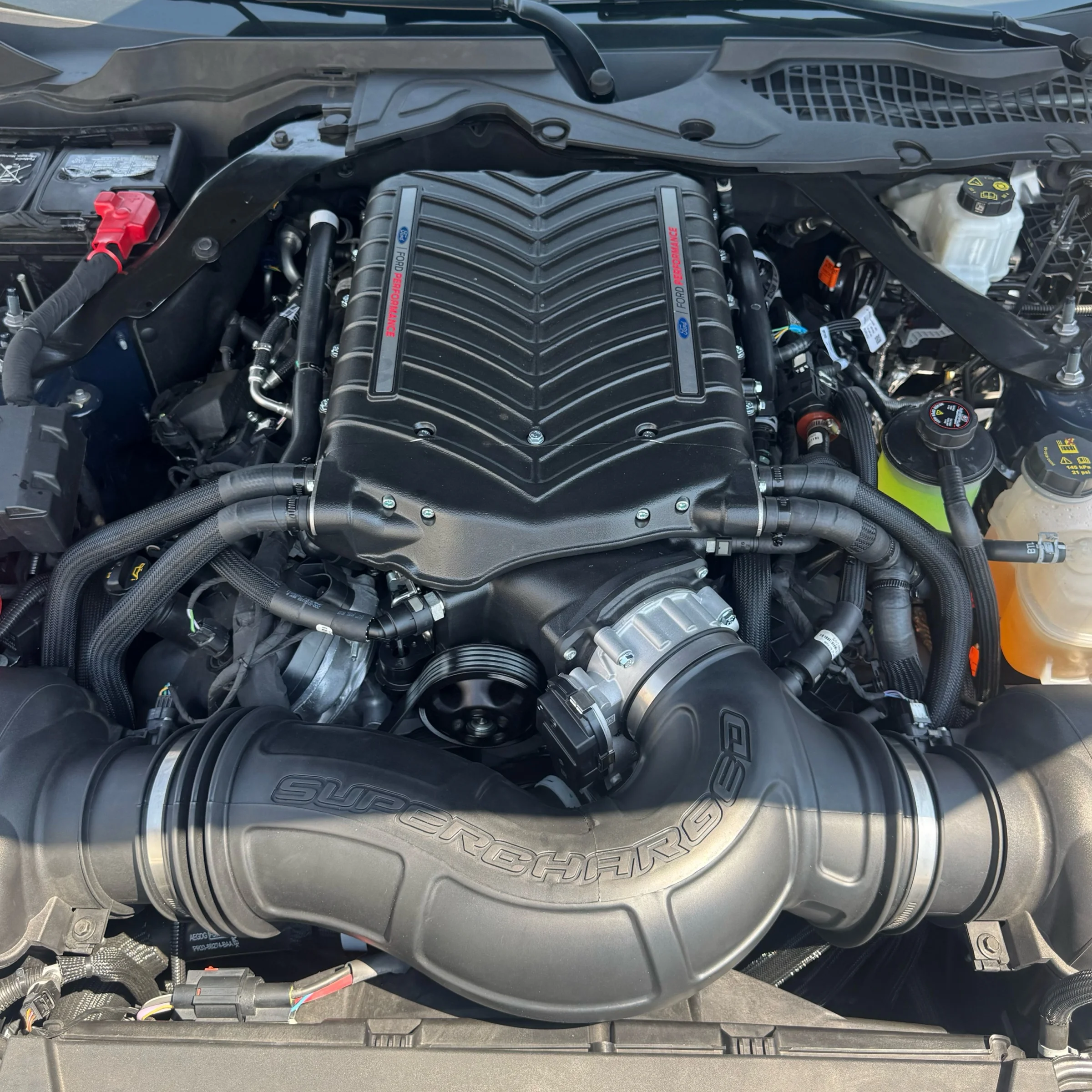 Detalle del sobrealimentador Whipple montado en el Ford Mustang S650 Dark Horse